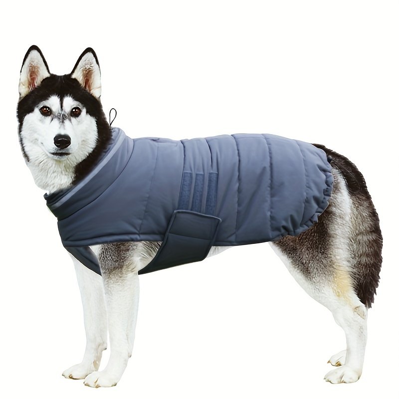 2|